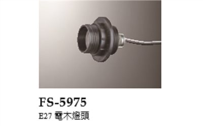 FS-5975