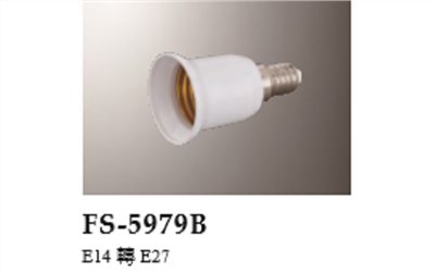 FS-5980B