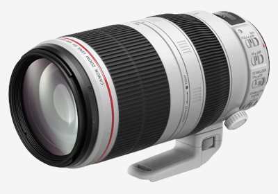 Canon EF 100-400mm f4.6-5.6L IS Ⅱ出租,Canon EF 100-400mm f4.6-5.6L IS Ⅱ租借,鏡頭出租,鏡頭租借