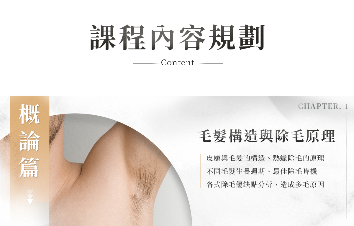 熱蠟除毛創業班 課程規劃 毛髮構造分析