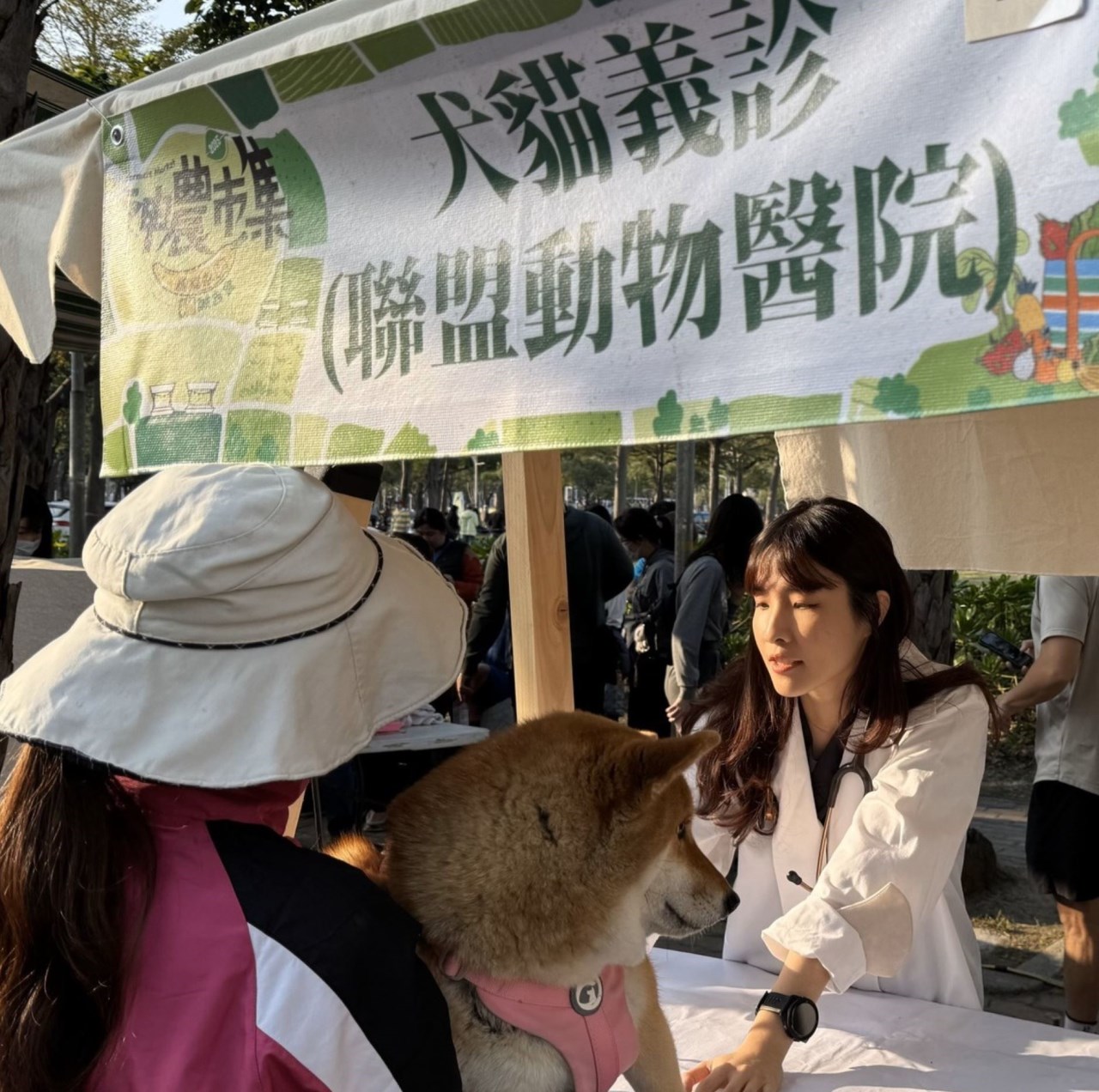 2025年動物醫院設計趨勢4：永續與環保意識，展現社會責任感