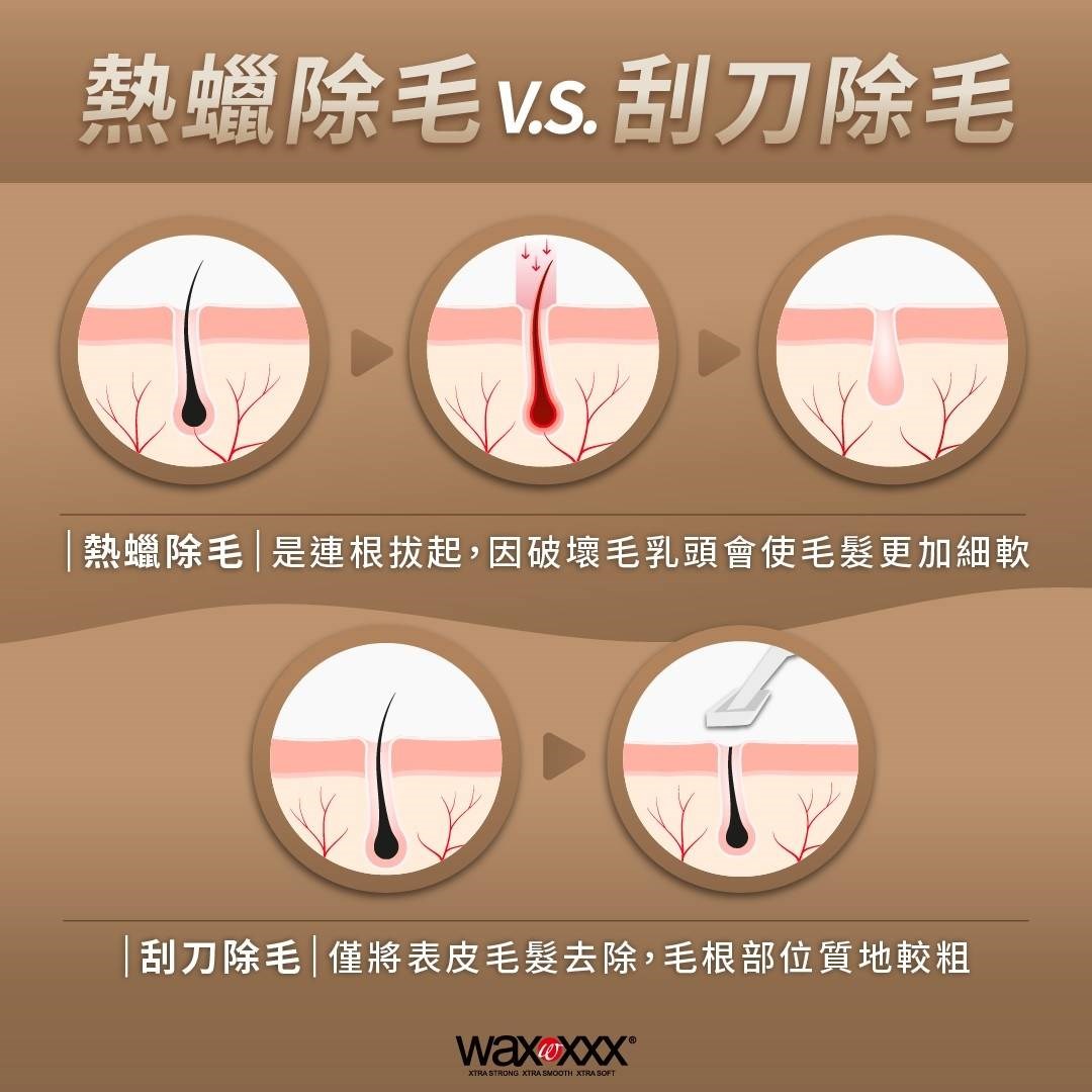 熱蠟除毛 跟 刮毛的差異
